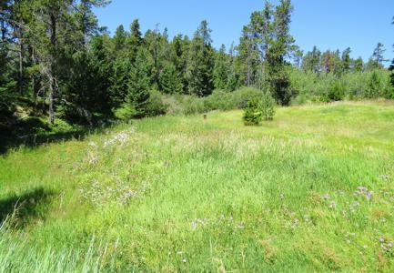 UNDER CONTRACT: Central MT Mountain Land For Sale Fergus - image 2