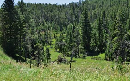 UNDER CONTRACT: Central MT Mountain Land For Sale Fergus - image 36