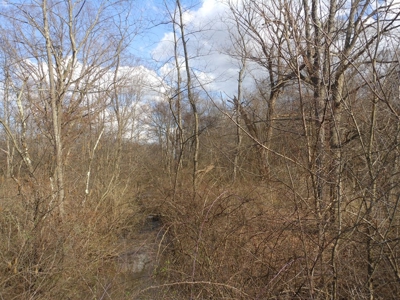 Auction - 45 +/- Acres Tillable Ground - Mount Vernon, OH - image 1