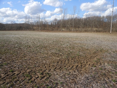 Auction - 24 +/- Acres Tillable Ground - Mount Vernon, OH - image 1