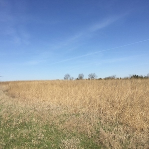 Northwest Missouri Hunting Land for Sale, Worth County, MO - image 1