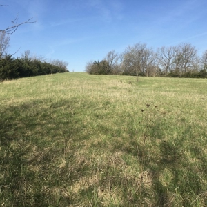 Northwest Missouri Hunting Land for Sale, Worth County, MO - image 2