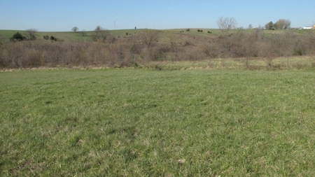 Northwest Missouri Hunting Land for Sale, Worth County, MO - image 3