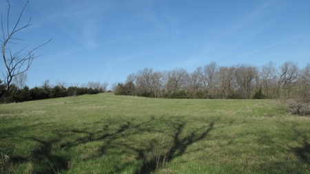 Northwest Missouri Hunting Land for Sale, Worth County, MO - image 4