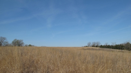 Northwest Missouri Hunting Land for Sale, Worth County, MO - image 6