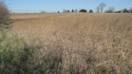 Northwest Missouri Hunting Land for Sale, Worth County, MO - image 8