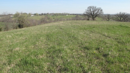 Northwest Missouri Hunting Land for Sale, Worth County, MO - image 10