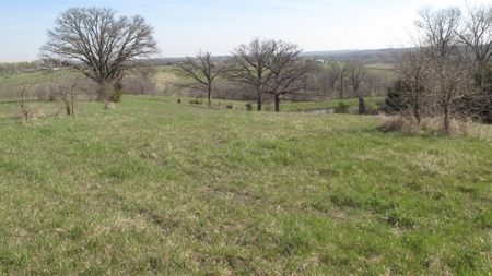 Northwest Missouri Hunting Land for Sale, Worth County, MO - image 11