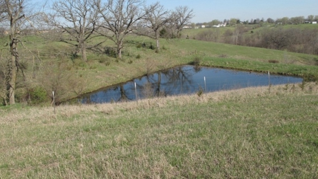 Northwest Missouri Hunting Land for Sale, Worth County, MO - image 14