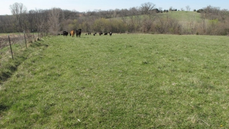 Northwest Missouri Hunting Land for Sale, Worth County, MO - image 20