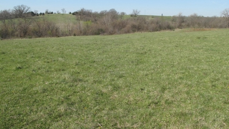 Northwest Missouri Hunting Land for Sale, Worth County, MO - image 21