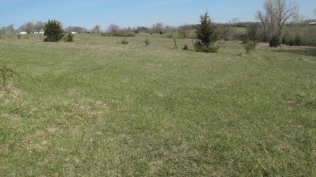 Northwest Missouri Hunting Land for Sale, Worth County, MO - image 22
