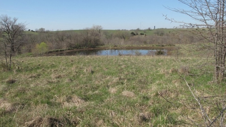 Northwest Missouri Hunting Land for Sale, Worth County, MO - image 23