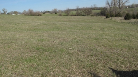 Northwest Missouri Hunting Land for Sale, Worth County, MO - image 24