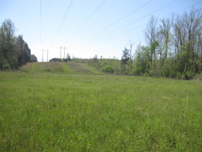 A True Timber Investment In Mecklenburg County VA - image 1