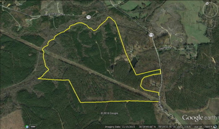 A True Timber Investment In Mecklenburg County VA - image 2