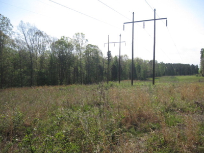 A True Timber Investment In Mecklenburg County VA - image 3
