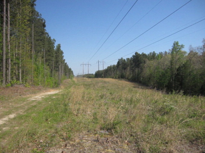 A True Timber Investment In Mecklenburg County VA - image 4