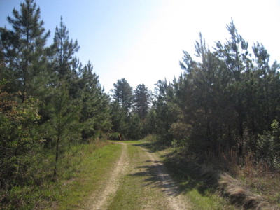 A True Timber Investment In Mecklenburg County VA - image 7
