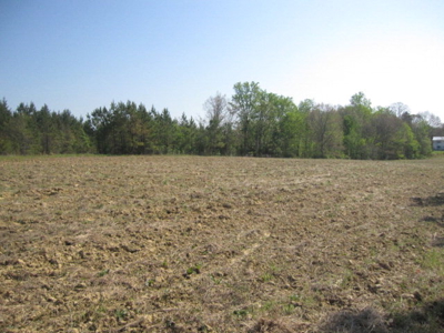 A True Timber Investment In Mecklenburg County VA - image 8