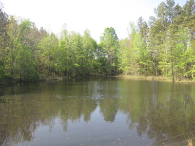 A True Timber Investment In Mecklenburg County VA - image 14