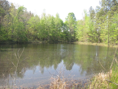 A True Timber Investment In Mecklenburg County VA - image 15