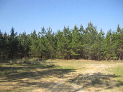 A True Timber Investment In Mecklenburg County VA - image 20