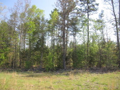 A True Timber Investment In Mecklenburg County VA - image 21