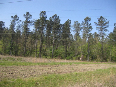 A True Timber Investment In Mecklenburg County VA - image 22