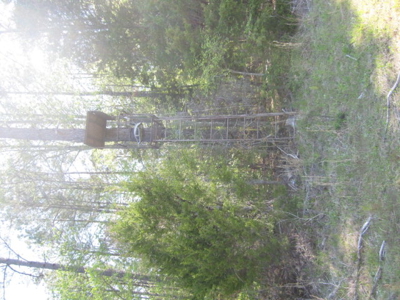 A True Timber Investment In Mecklenburg County VA - image 23
