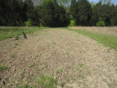 A True Timber Investment In Mecklenburg County VA - image 24