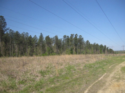 A True Timber Investment In Mecklenburg County VA - image 25