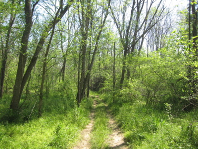 A True Timber Investment In Mecklenburg County VA - image 26