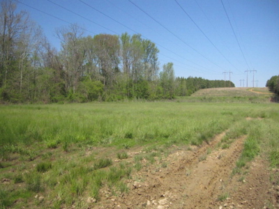 A True Timber Investment In Mecklenburg County VA - image 27