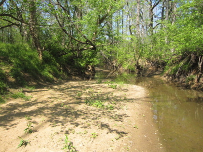 A True Timber Investment In Mecklenburg County VA - image 28