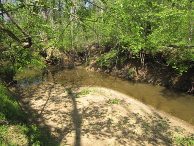 A True Timber Investment In Mecklenburg County VA - image 29