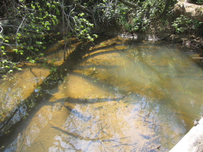 A True Timber Investment In Mecklenburg County VA - image 30