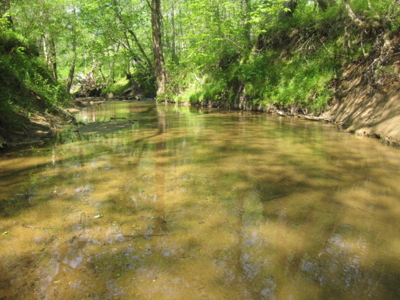 A True Timber Investment In Mecklenburg County VA - image 31