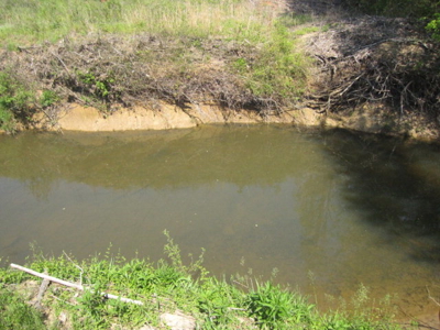 A True Timber Investment In Mecklenburg County VA - image 32