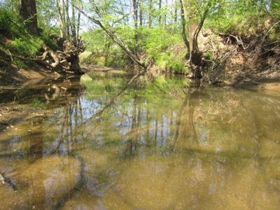 A True Timber Investment In Mecklenburg County VA - image 33