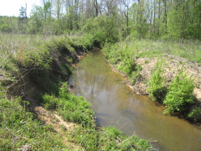 A True Timber Investment In Mecklenburg County VA - image 34