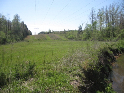 A True Timber Investment In Mecklenburg County VA - image 36