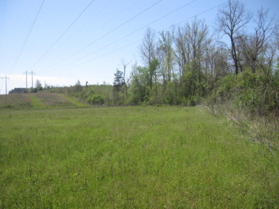 A True Timber Investment In Mecklenburg County VA - image 35