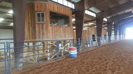 Covered Arena in southern New Mexico, close to Ruidoso, NM. - image 1