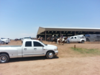 Covered Arena in southern New Mexico, close to Ruidoso, NM. - image 10