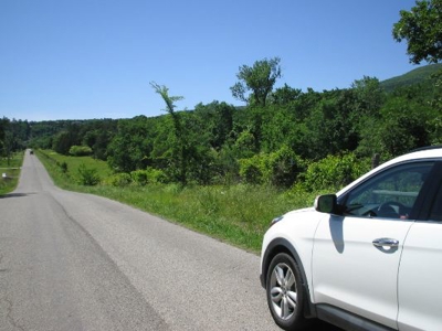 Wolf Mtn Ranch  160 Acres - image 2