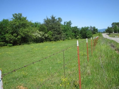 Wolf Mtn Ranch  160 Acres - image 3