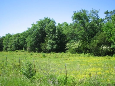 Wolf Mtn Ranch  160 Acres - image 4