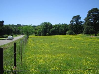 Wolf Mtn Ranch  160 Acres - image 5