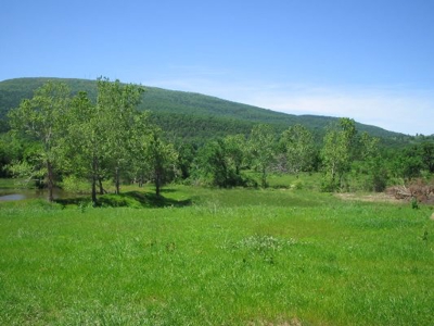 Wolf Mtn Ranch  160 Acres - image 6